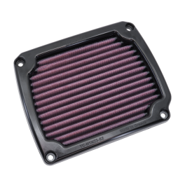 Combo DNA  HONDA DAX 125 2022 2024
