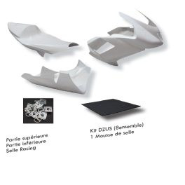 Pack carénage Sebimoto KAWASAKI ZX-6 R 2009 2012