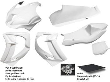 Pack carénage Sebimoto KAWASAKI ZX-10R 2016 2020