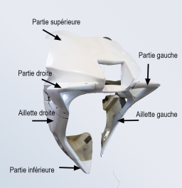 Partie inférieure