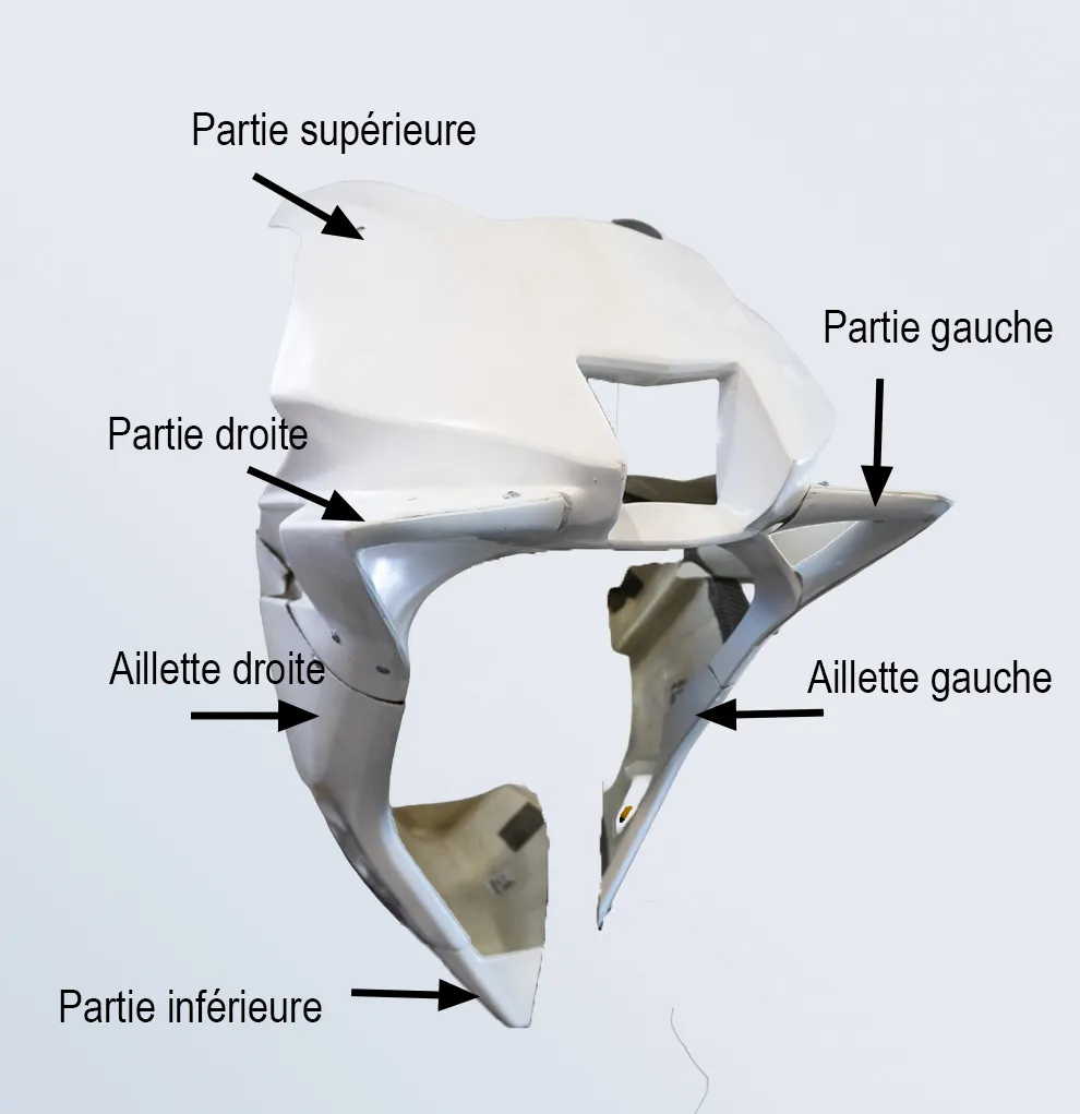 Partie inférieure